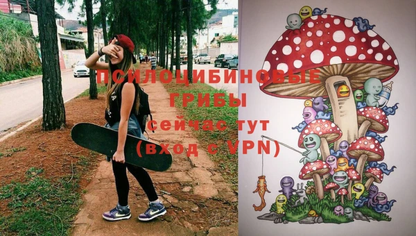 мяу мяу мука Каменск-Шахтинский