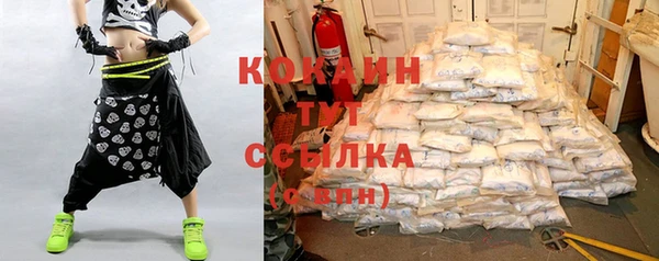 apvp Каменногорск